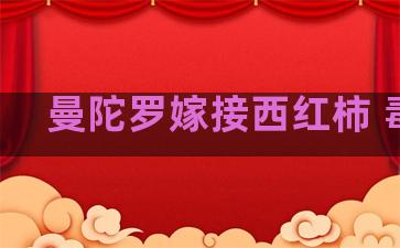 曼陀罗嫁接西红柿 毒性